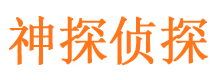 滨湖侦探公司